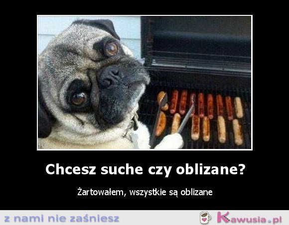 Chcesz suche czy oblizane?