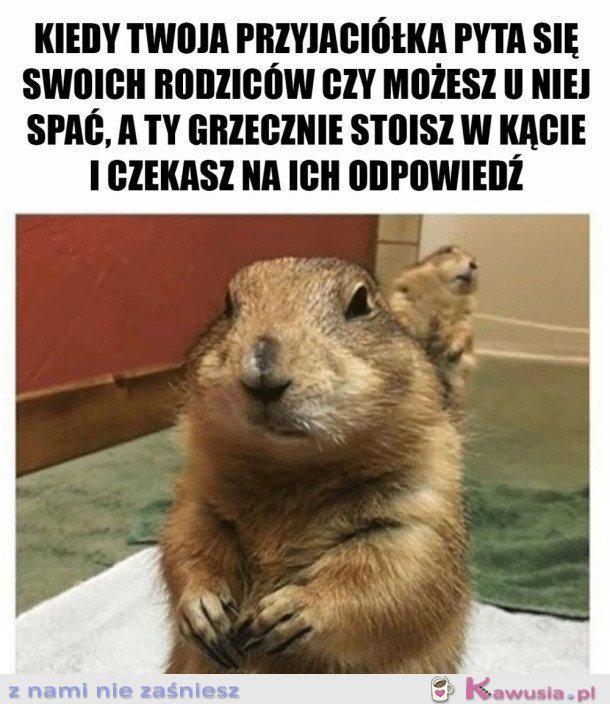 ZA KAŻDYM RAZEM