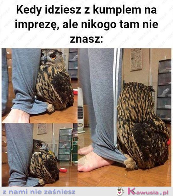 Kiedy nikogo nie znasz