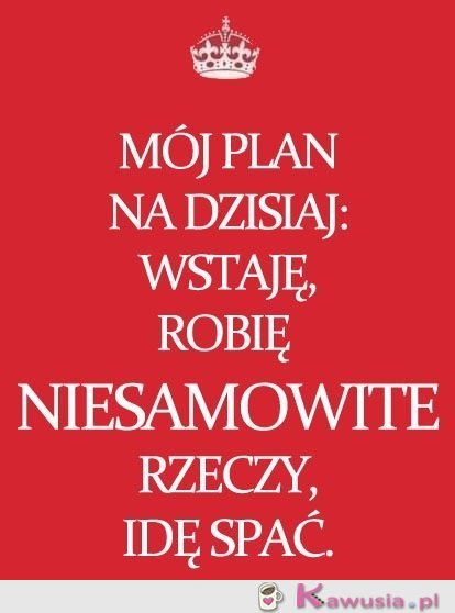 Mój plan