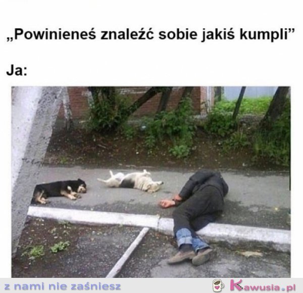 M&oacute;wiłam aby poszukał nowych koleg&oacute;w