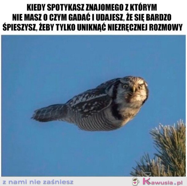 Lecę spóźniona już jestem