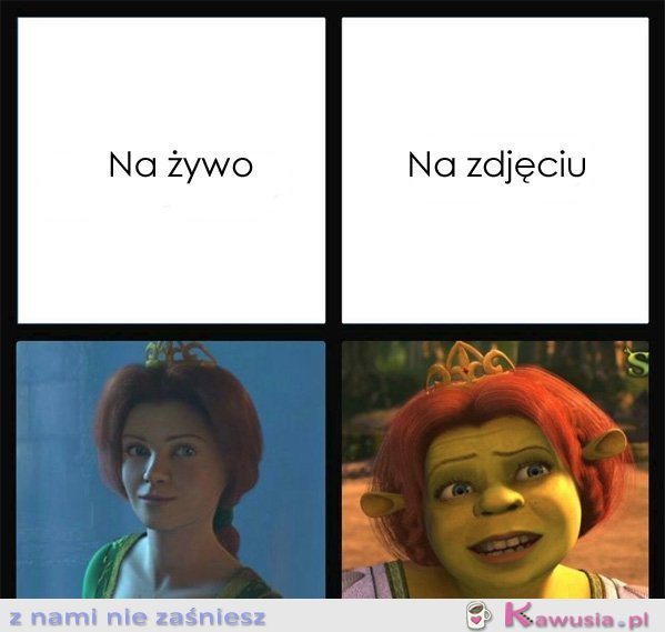 Na żywo, a na zdjęciu