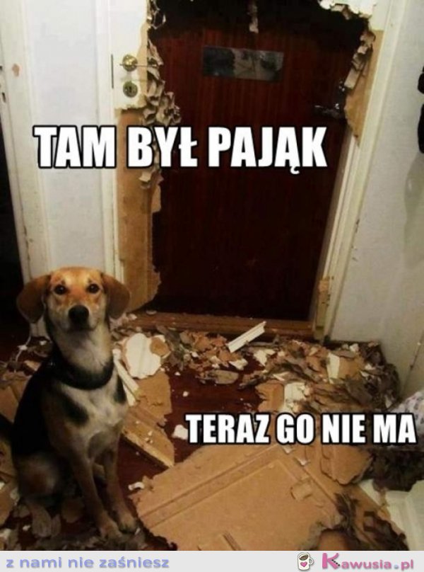 Tam był pająk