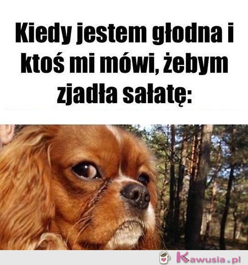Żartujesz?
