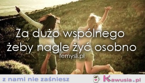 Za dużo wspólnego żeby...