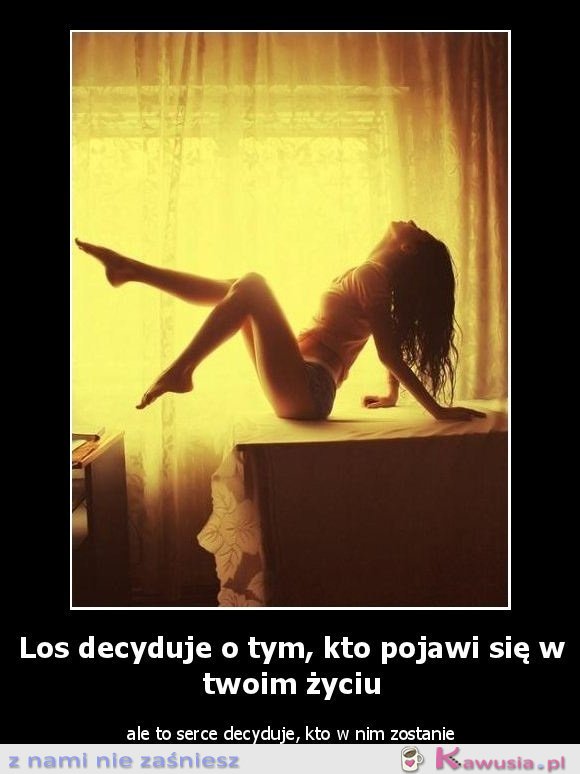 Los decyduje o tym...