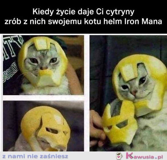 Kiedy życie daje ci cytryny