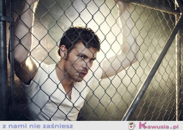 Joseph Morgan