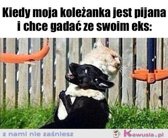 Ratuj się kto może...