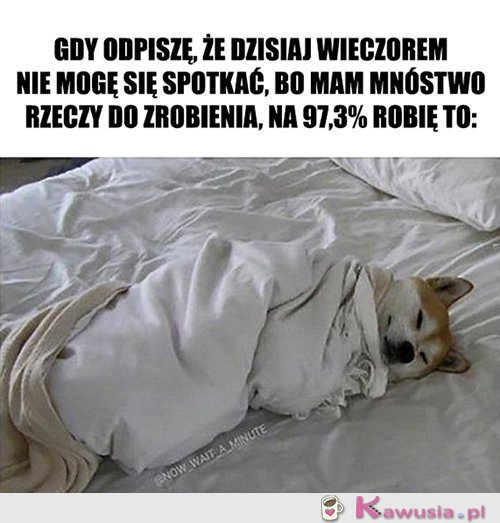 Nie wiem w co ręce włożyć...