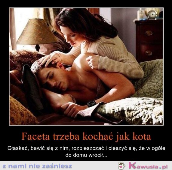 Faceta trzeba kochać jak kota