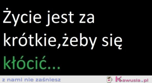 Życie jest za krótkie