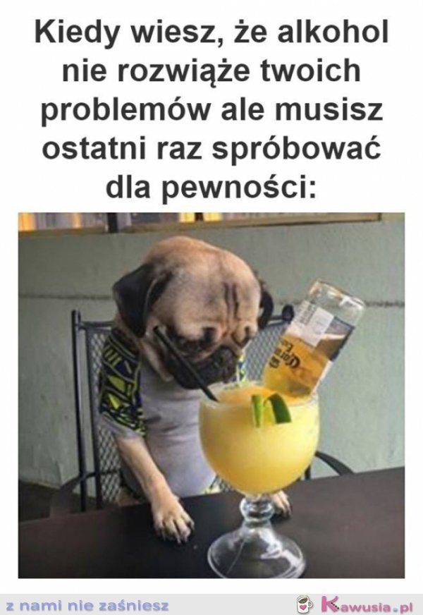 Kiedy wiesz, że alkohol
