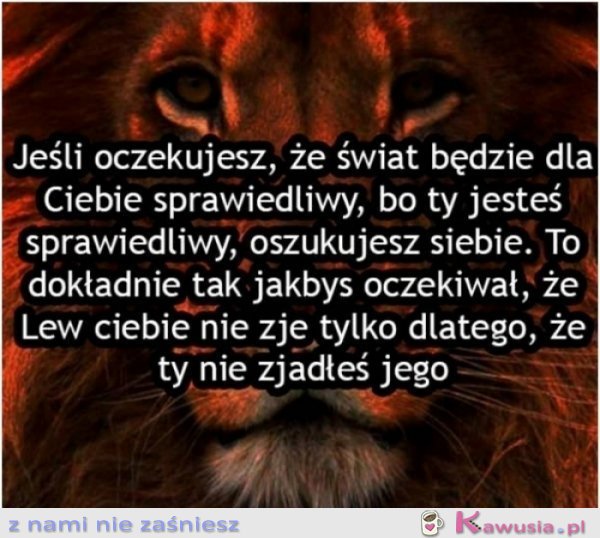 Oczekiwania