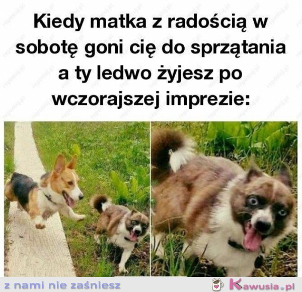 TO UCZUCIE