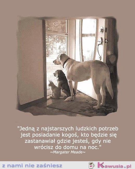 Jedną z najstarszych ludzkich potrzeb