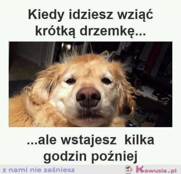 Moje drzemki takie są