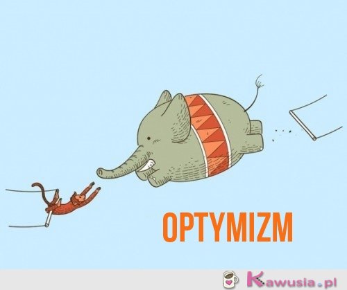 Optymizm