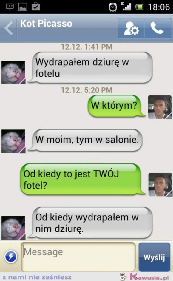 Gdyby koty mogły SMSować