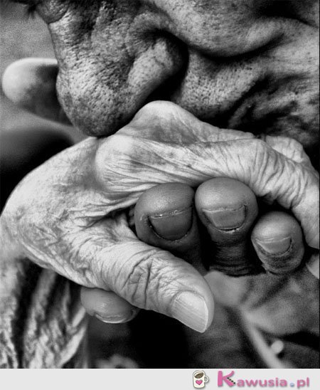 Przepiękne zdjęcie