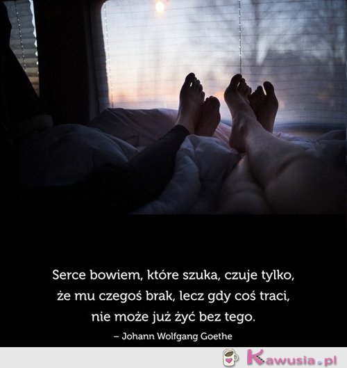 Serce bowiem, które szuka, czuje tylko...