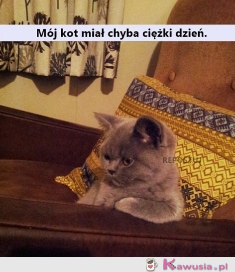 Każdy miewa ciężkie dni