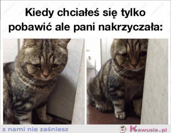 Chciałem się tylko przytulić