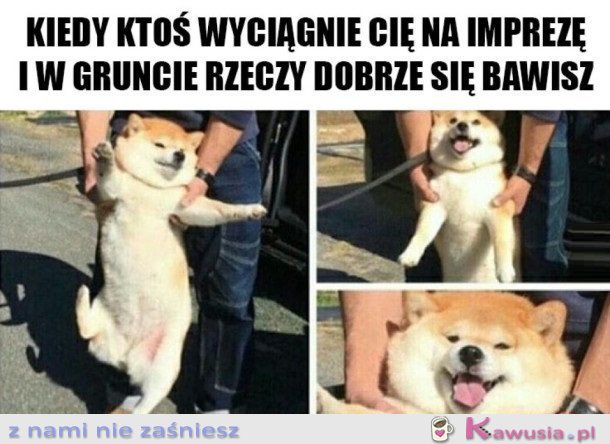 Bawię się cudownie