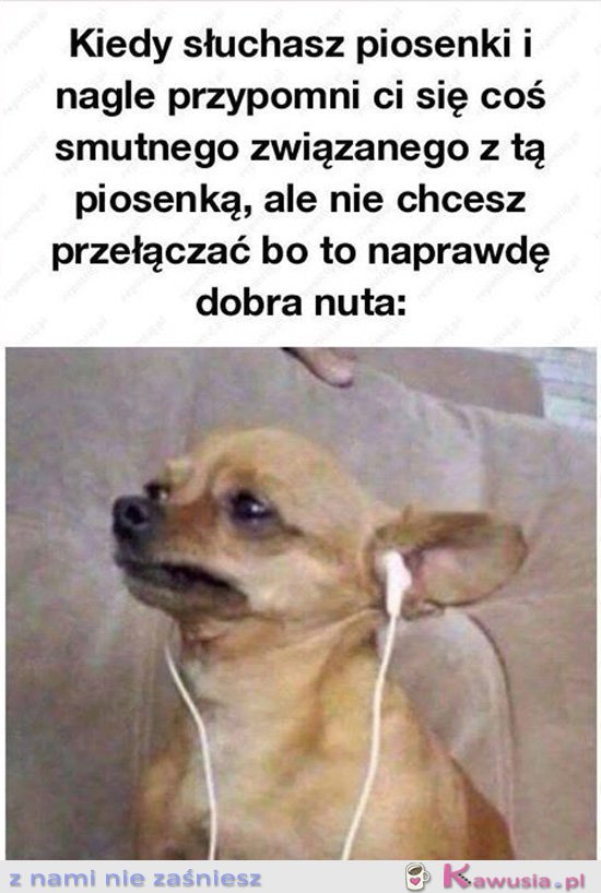 Kiedy słuchasz piosenki i nagle