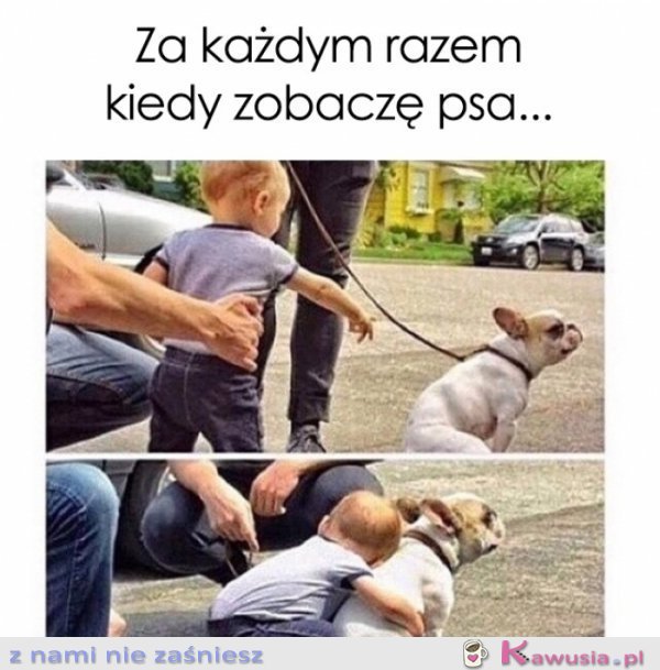 Za każdym razem kiedy zobaczę psa