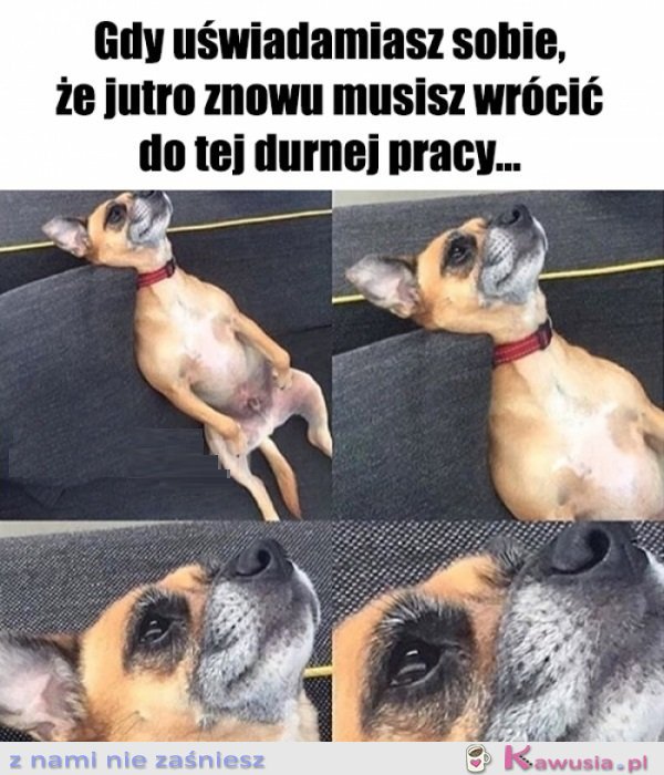 Świetnie...