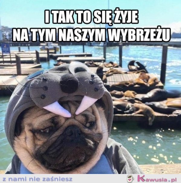 I TAK TO SIĘ ŻYJE