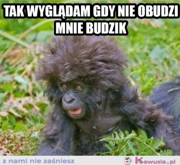 Tak wyglądam