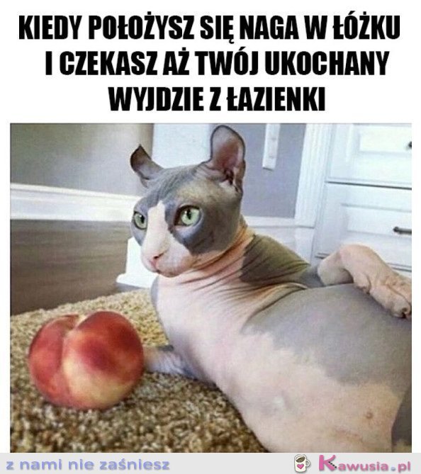 JESTEM GOTOWA
