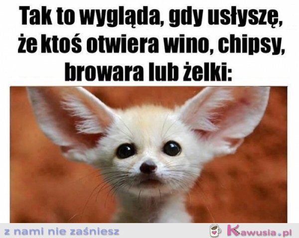 Czy mnie słuch nie myli?