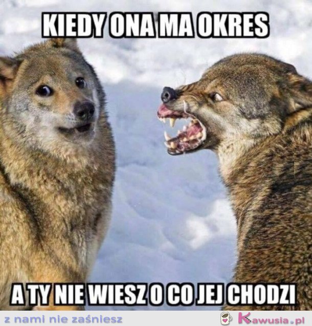 Bywa i tak