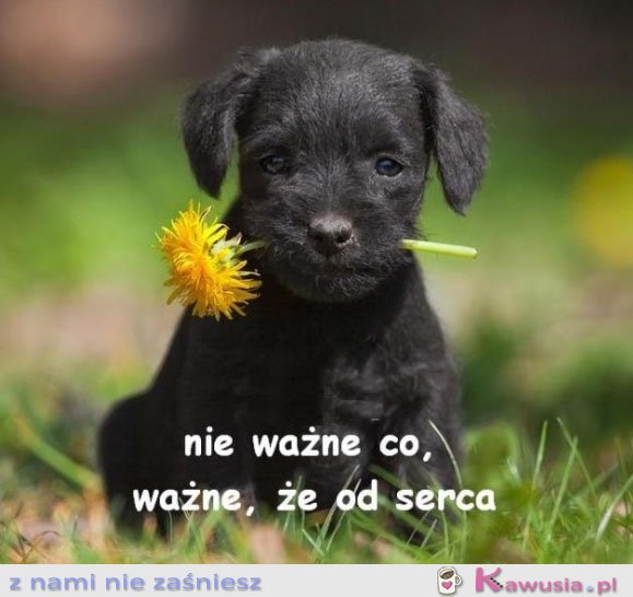 Nie ważne co