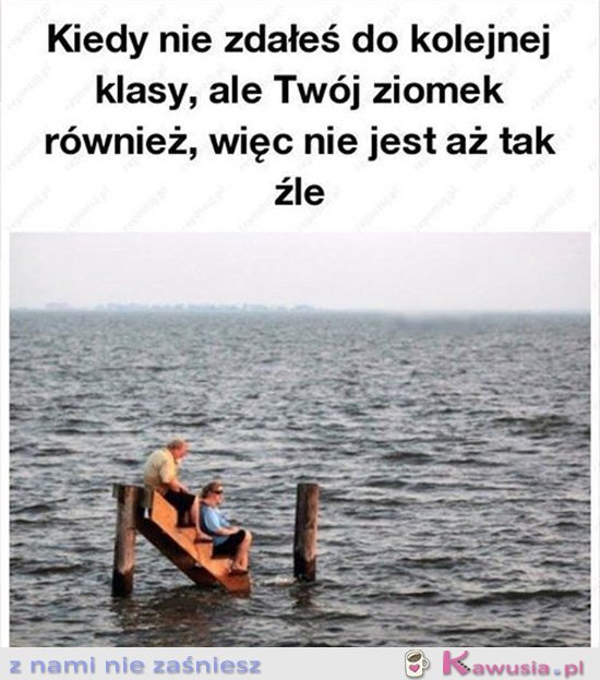 Przynajmniej mam towarzystwo