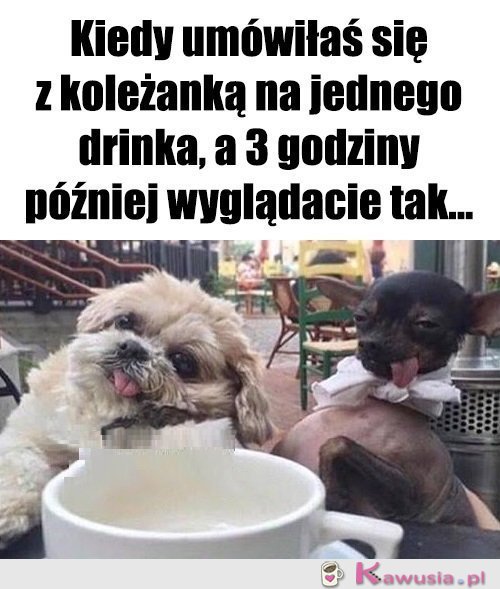 Tak jakoś wyszło...