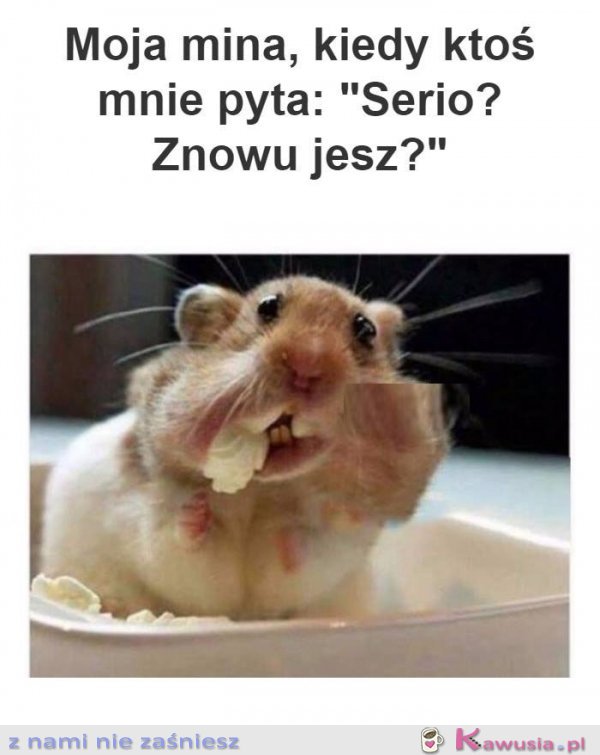 A Ty, znowu jesz