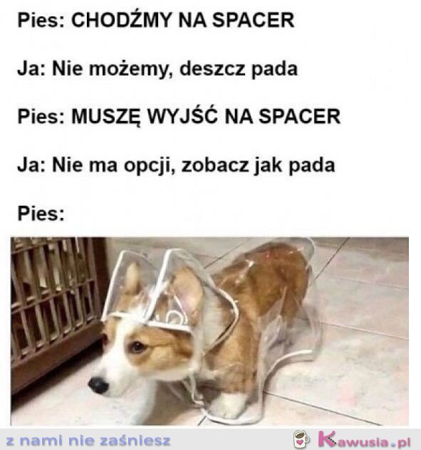 Chodźmy na spacer