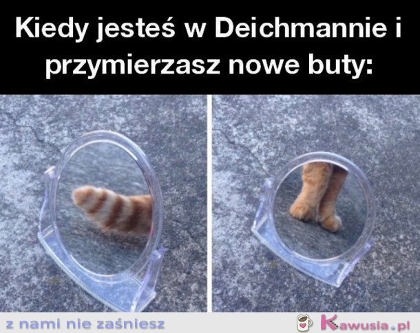 KIEDY JESTEŚ W DEICHMANIE