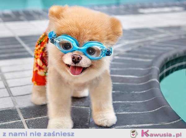 Kto idzie pływać