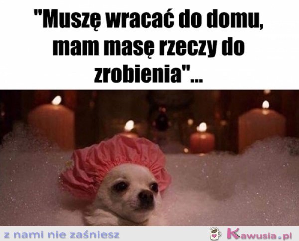 A to bardzo ważne rzeczy są...