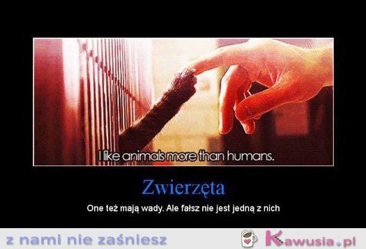 Zwierzęta