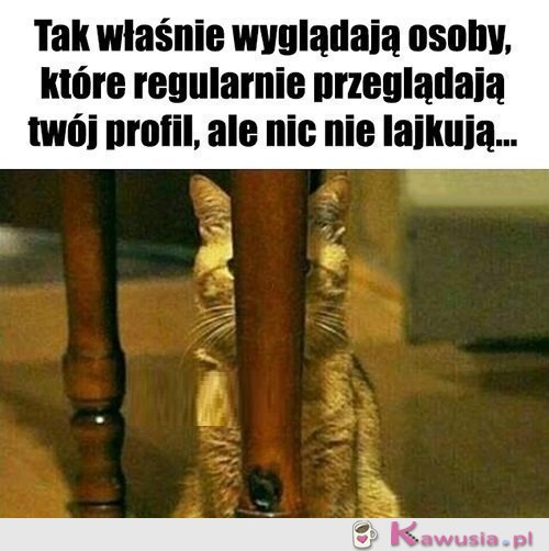 Po co być takim wstydliwym...