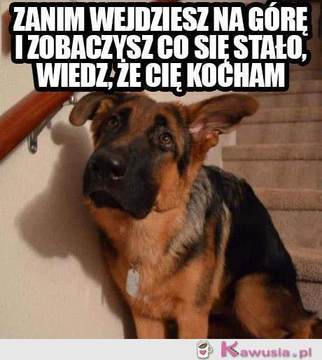 Zanim wejdziesz na górę