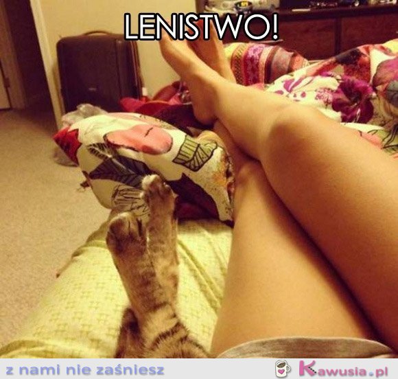 Lenistwo