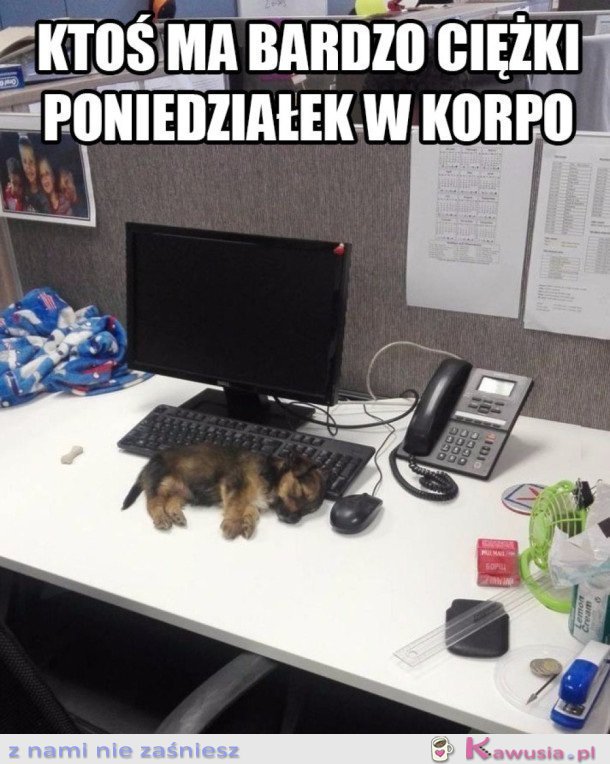 KTOŚ TU USNĄŁ NA STANOWISKU PRACY